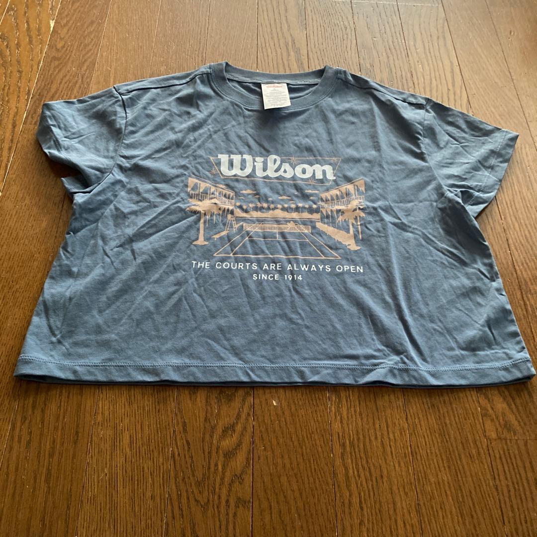 Wilson 薄い燻んだブルーのテニスクロップドTシャツ＆スコート