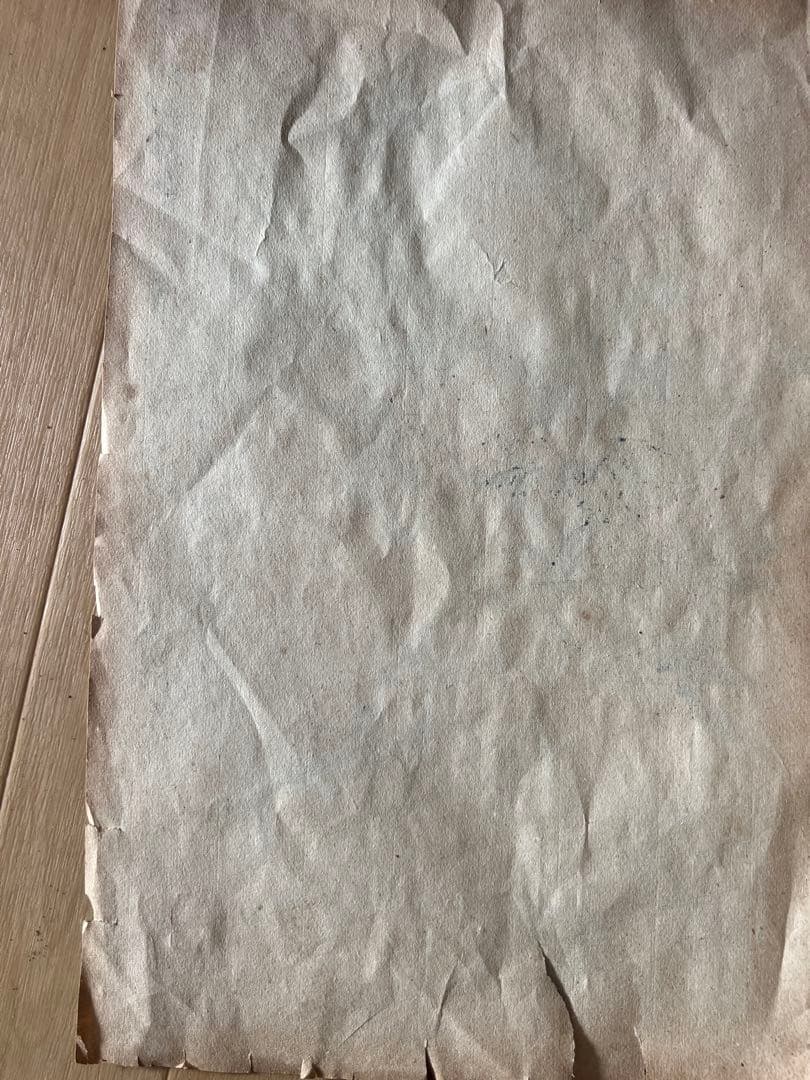 模写 中国清時代の著名な画家・書道家、呉昌碩肉筆 花卉作品