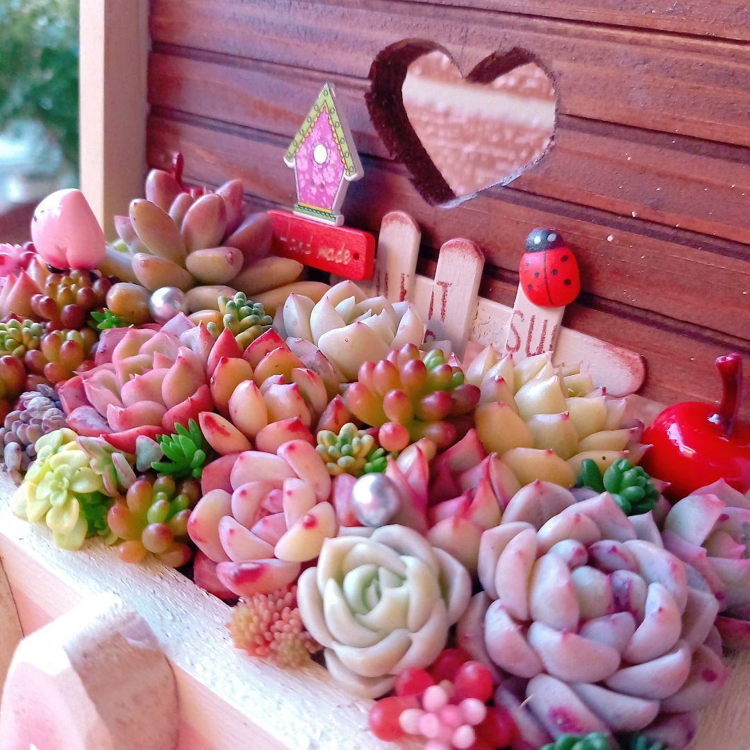 ❤️多肉植物❤️そのまま飾れる寄せ植え❤️のんびりうさぎちゃん~❤️