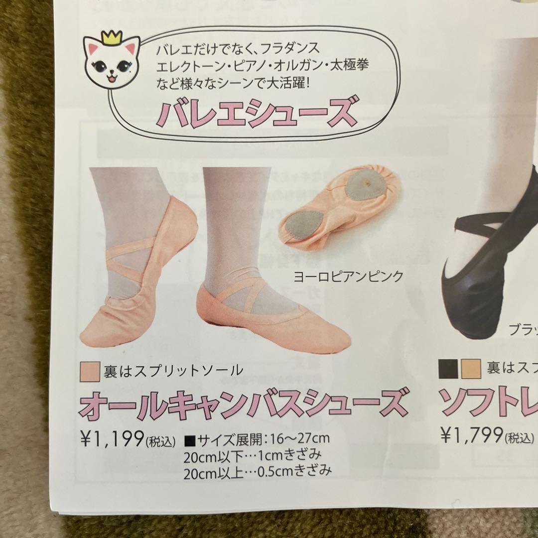 開封済み新品未使用）薄青紫 Sayori バレエ　レオタード　160 大人M 他
