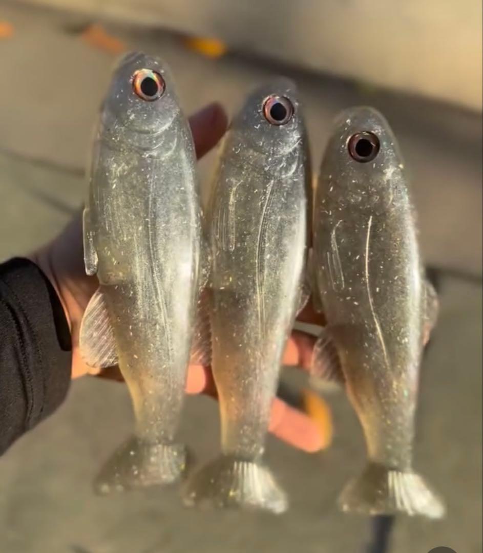 【日本未発売】West Coast Baits Roma Trout 9\"