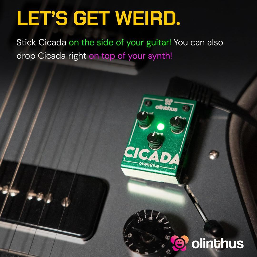 Olinthus オリンサス エフェクター オーバードライブ Cicada