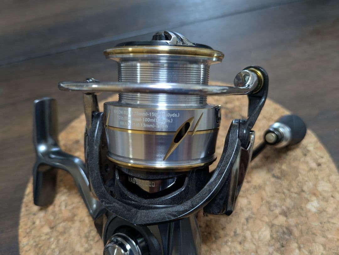 ルビアス LT3000XH SLPワークス RCS55 スプール ベアリング追加