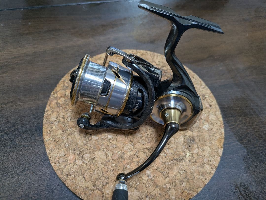 ルビアス LT3000XH SLPワークス RCS55 スプール ベアリング追加