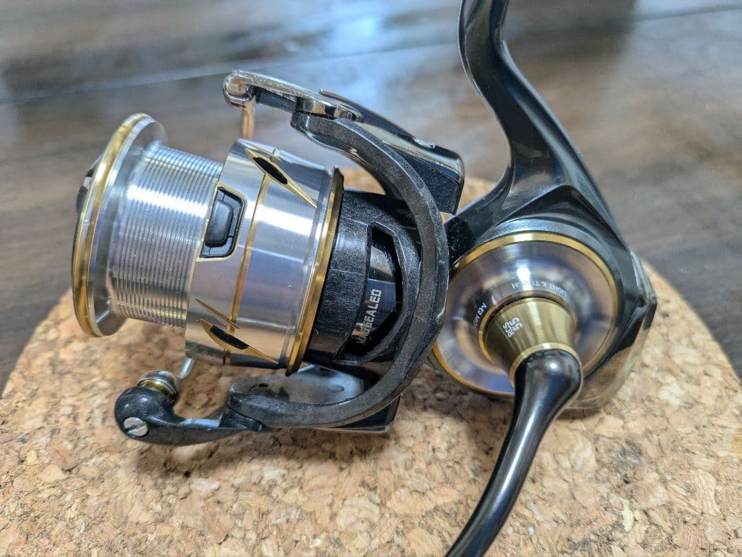 ルビアス LT3000XH SLPワークス RCS55 スプール ベアリング追加