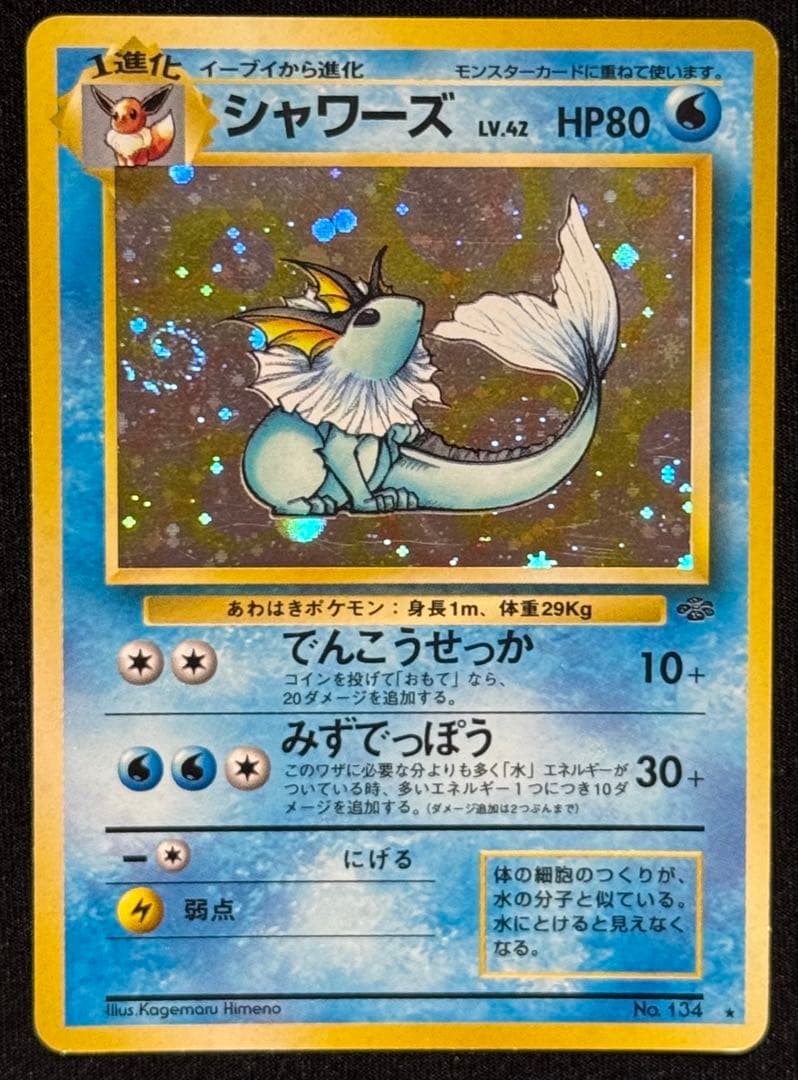 旧裏　ポケカ サンダース シャワーズ ブースター1990s vintage