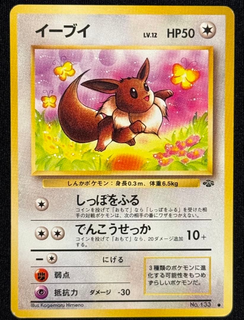 旧裏　ポケカ サンダース シャワーズ ブースター1990s vintage