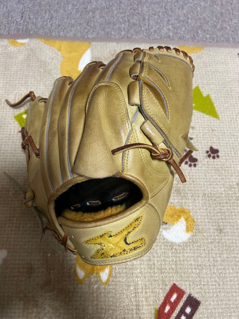 Mizuno Pro 軟式グローブと手袋セット
