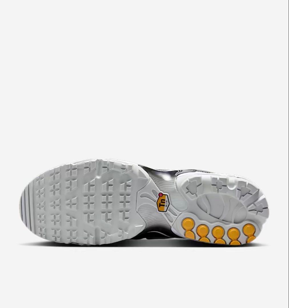 さんま　Nike Air Max Plus ブラックゴルフ　エアマックスプラス