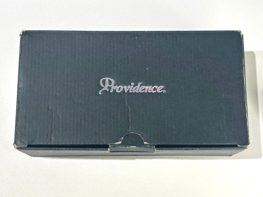 極美品 Providence CHRONO DELAY 箱・アダプター付