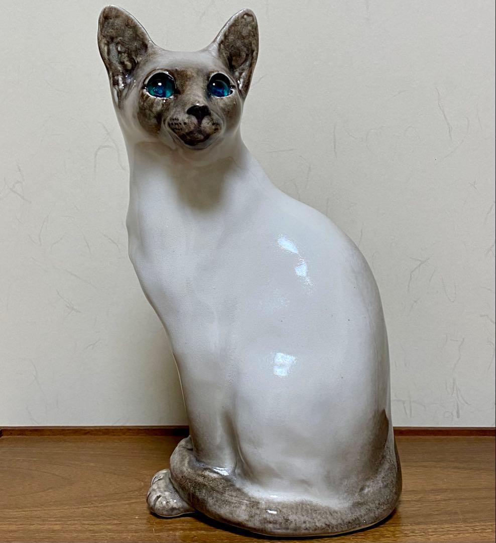 ウィンスタンレイキャット　ケンジントンキャット　寒色系シャム猫　サイズ5