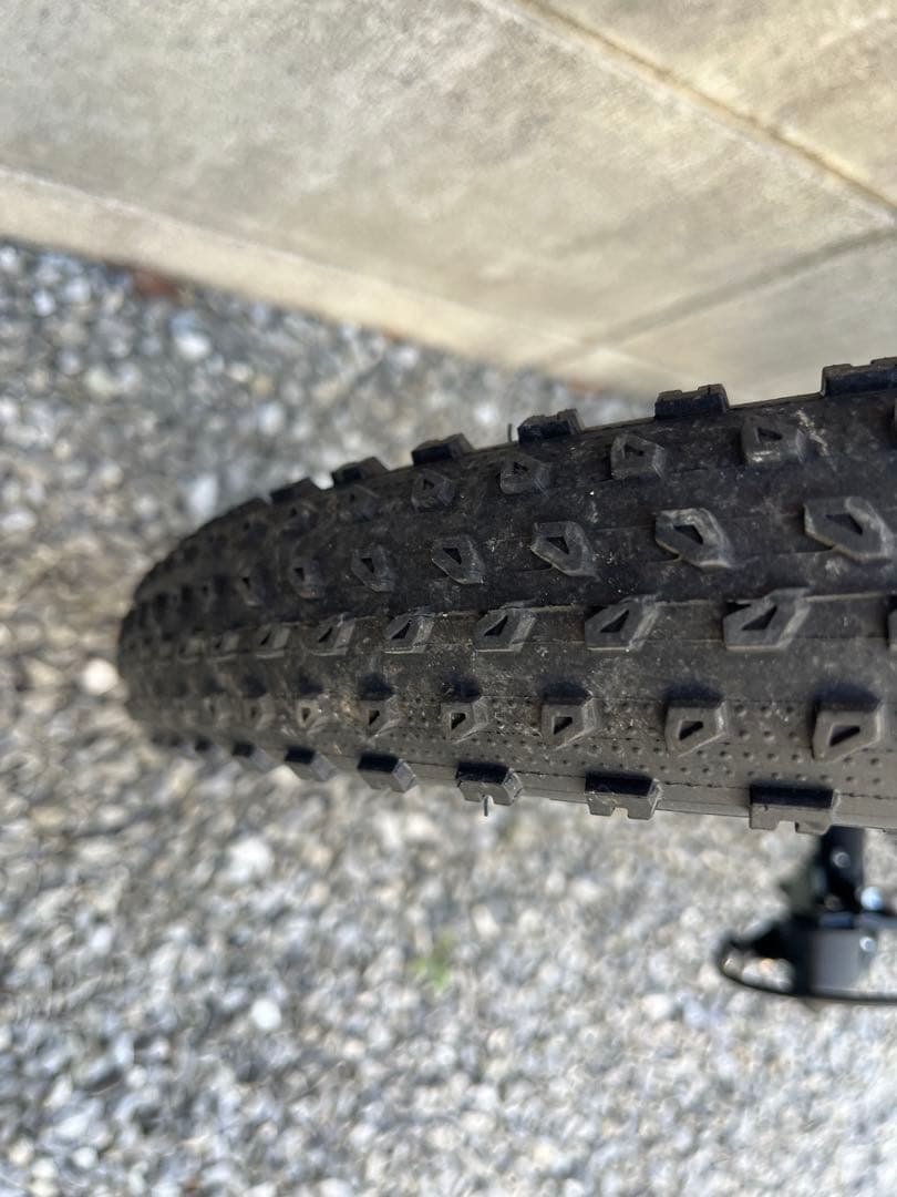 TREK　Precaliber 24 8-speed Suspension　美車