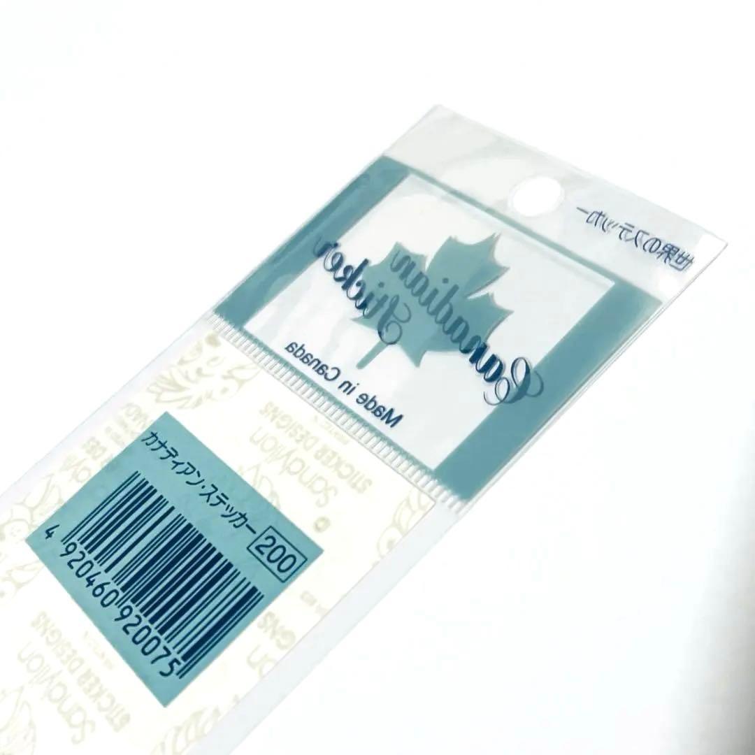 サンディライオン　SANDYLION クマ