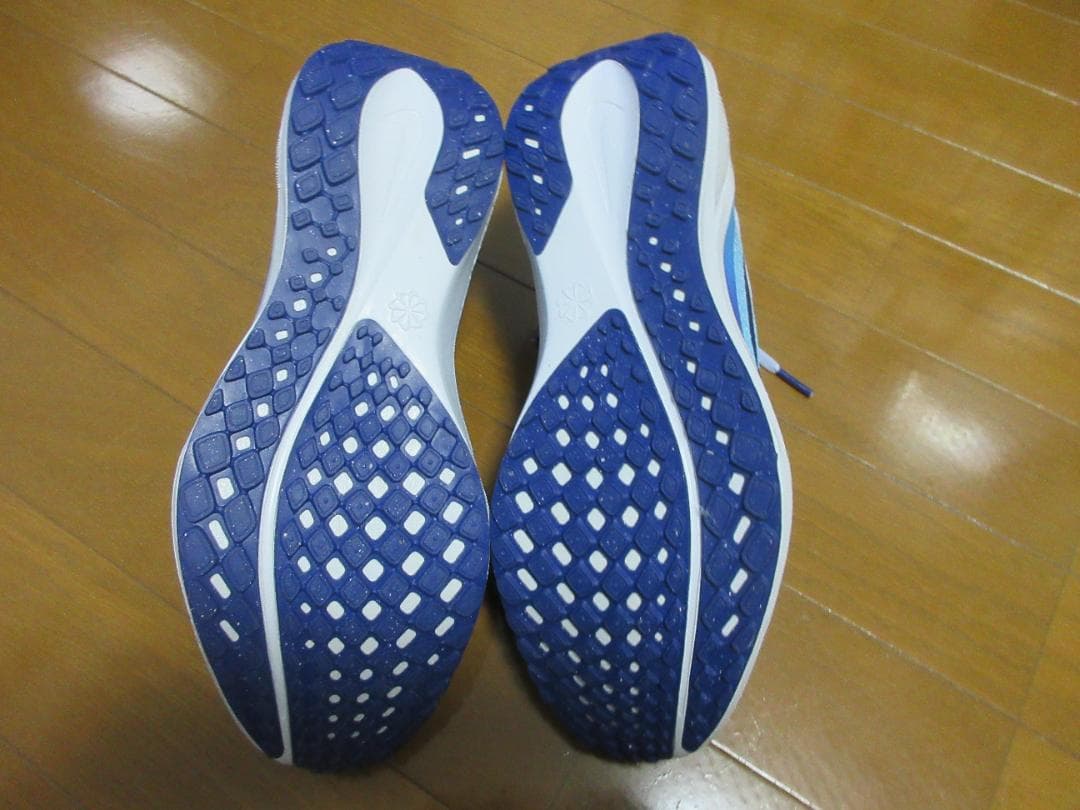 NIKE ペガサス