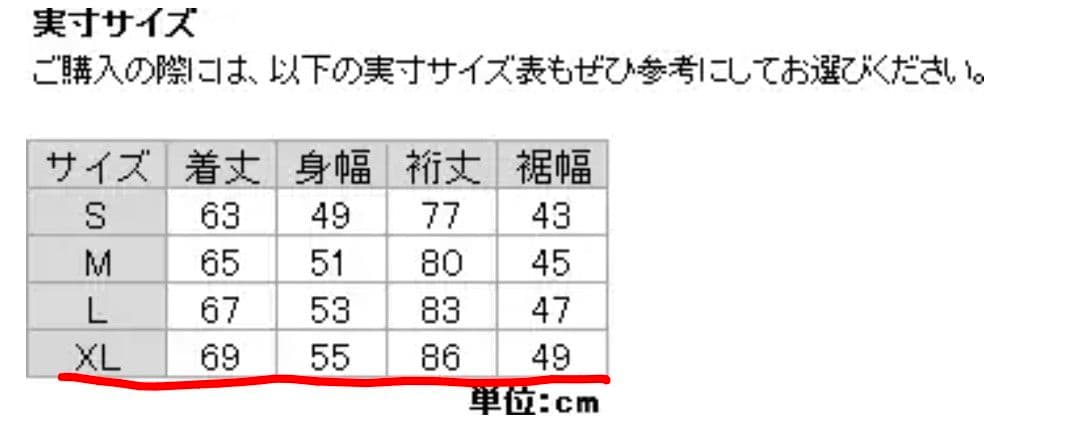 【レディース XL】ノースフェイス ストライクトレイルジャケット クリア