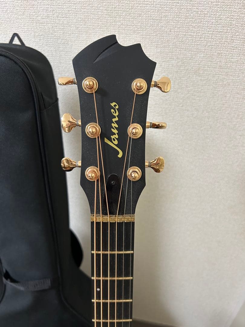 James アコースティックギター 購入後1ヶ月使用　保証付
