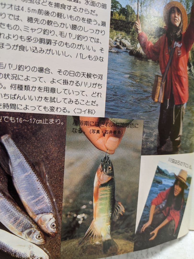 釣り　川　湖沼