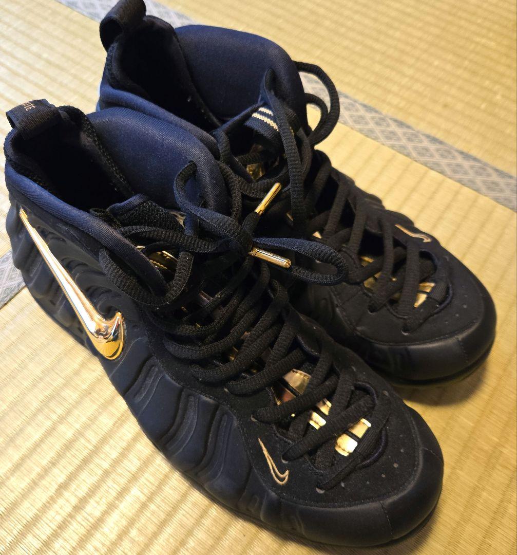 ナイキ ズームフォームポジット 27cm used black