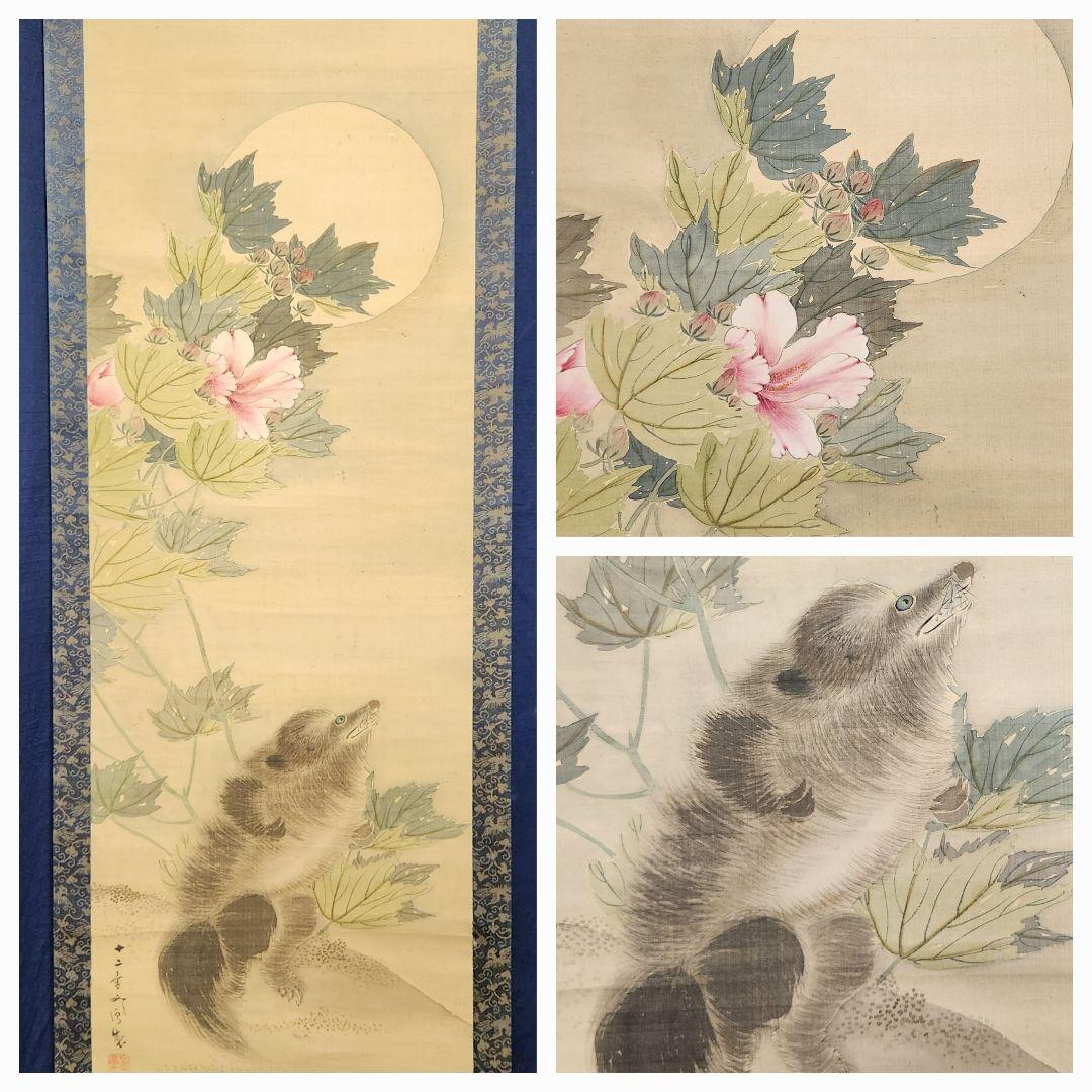 【月下芙蓉に狸図】河村文鳳 2661 フヨウにタヌキ 掛け軸　肉筆