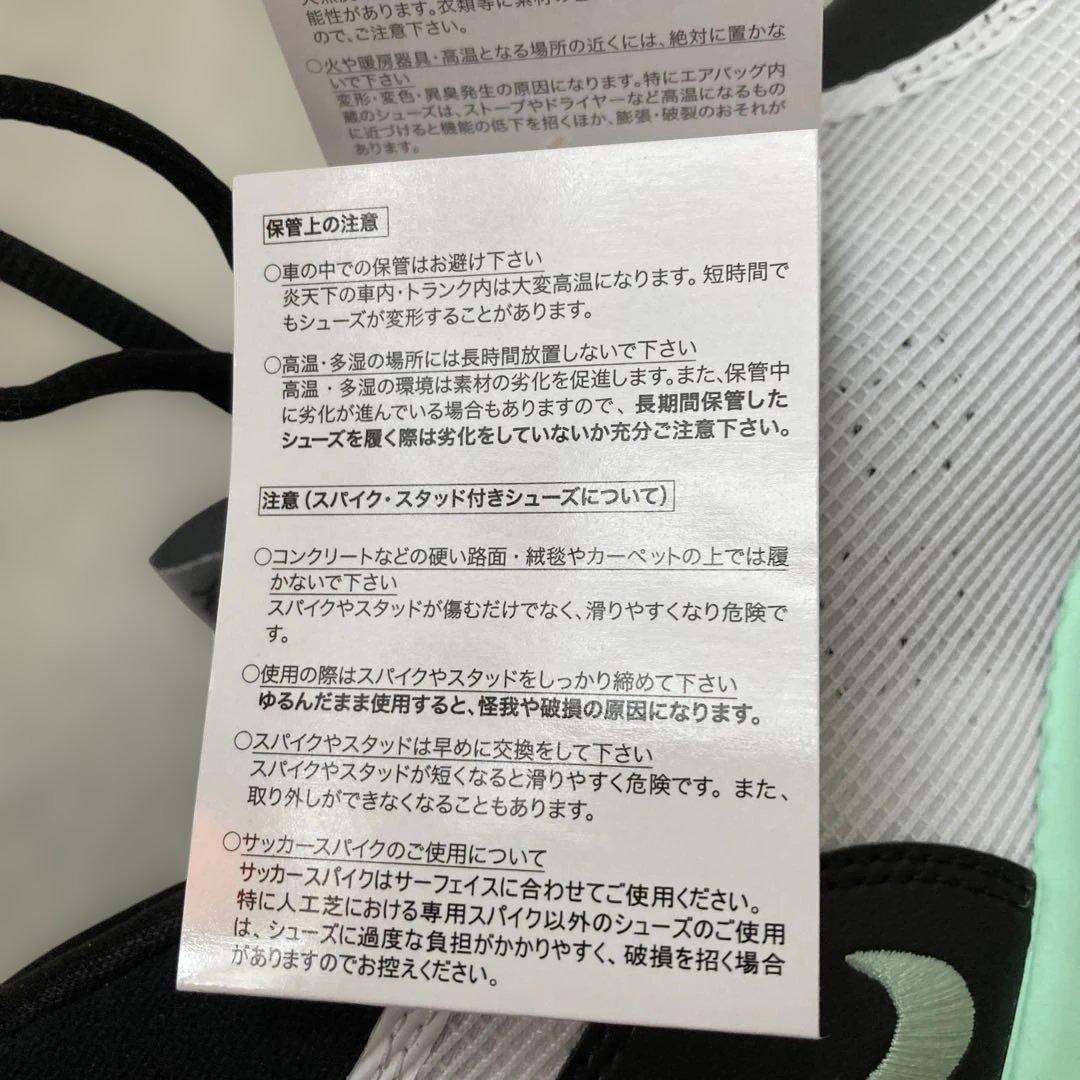 NIKE 'BLACK MINT'PG6 DH8447-001 メンズスニーカー