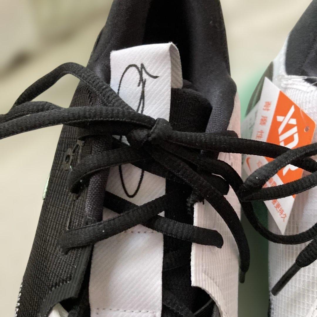 NIKE 'BLACK MINT'PG6 DH8447-001 メンズスニーカー