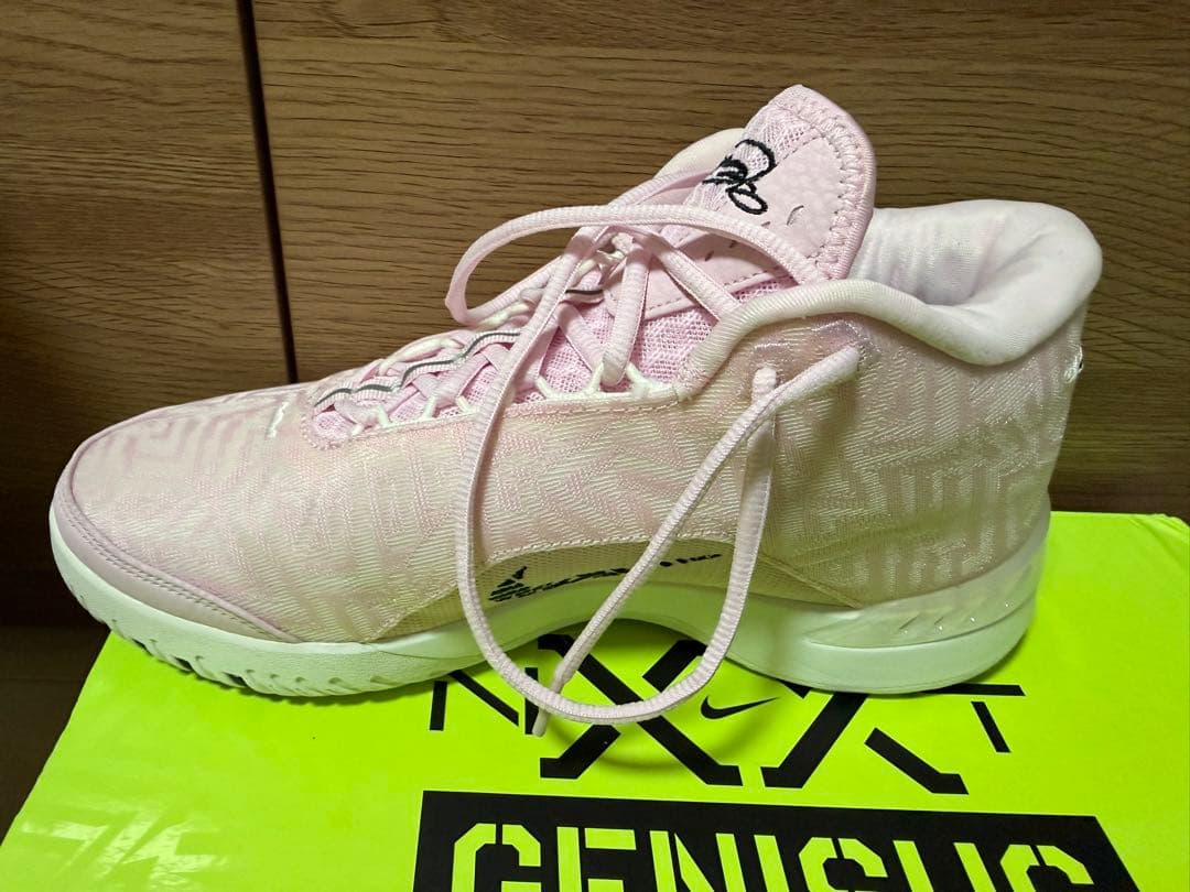 シューズ(男性用) NIKE LeBron NXXT GENISUS EP