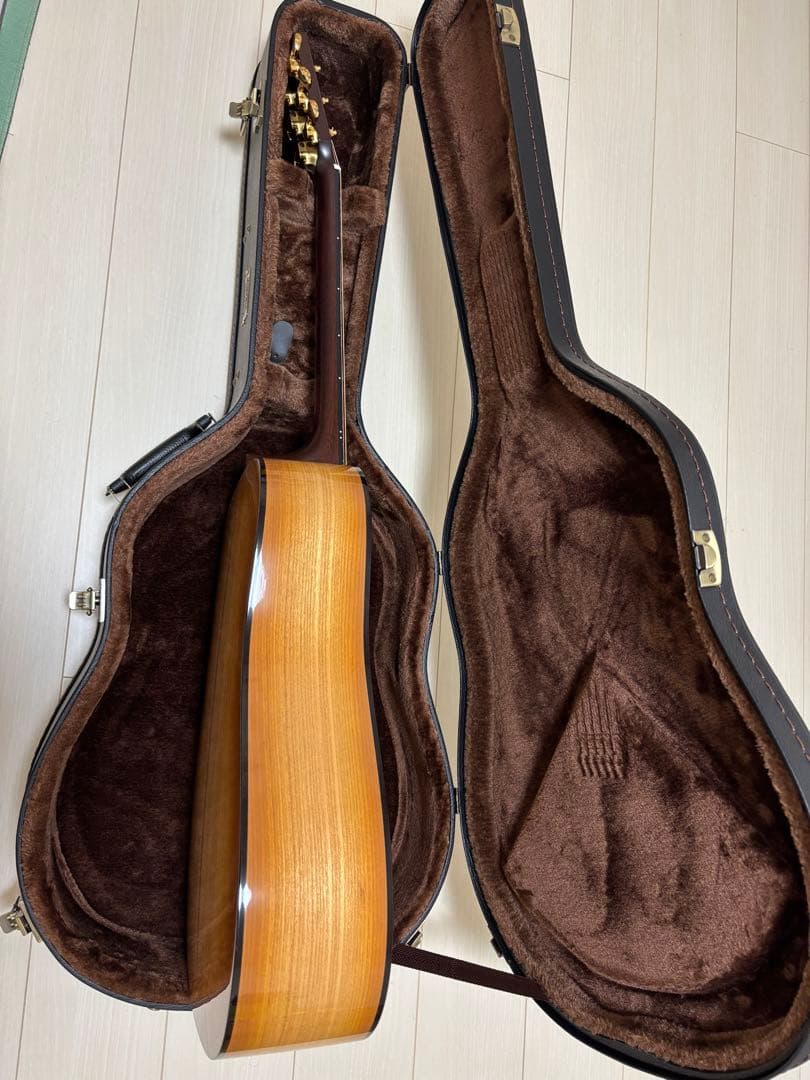 ギター Headway HD-531 Coffee SF.S/STD CLB