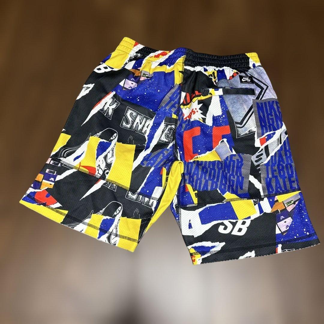 NIKE SB スケートボーディングショート