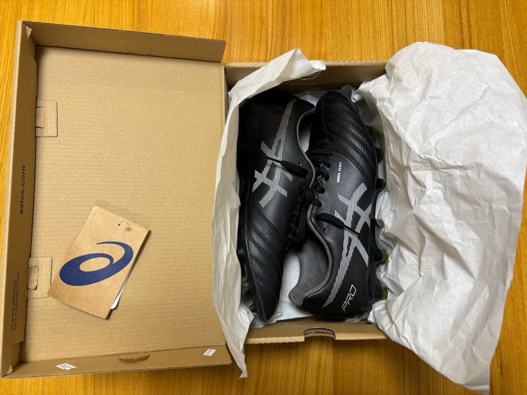 asics アシックス DS LIGHT X-FLY PRO 26.0