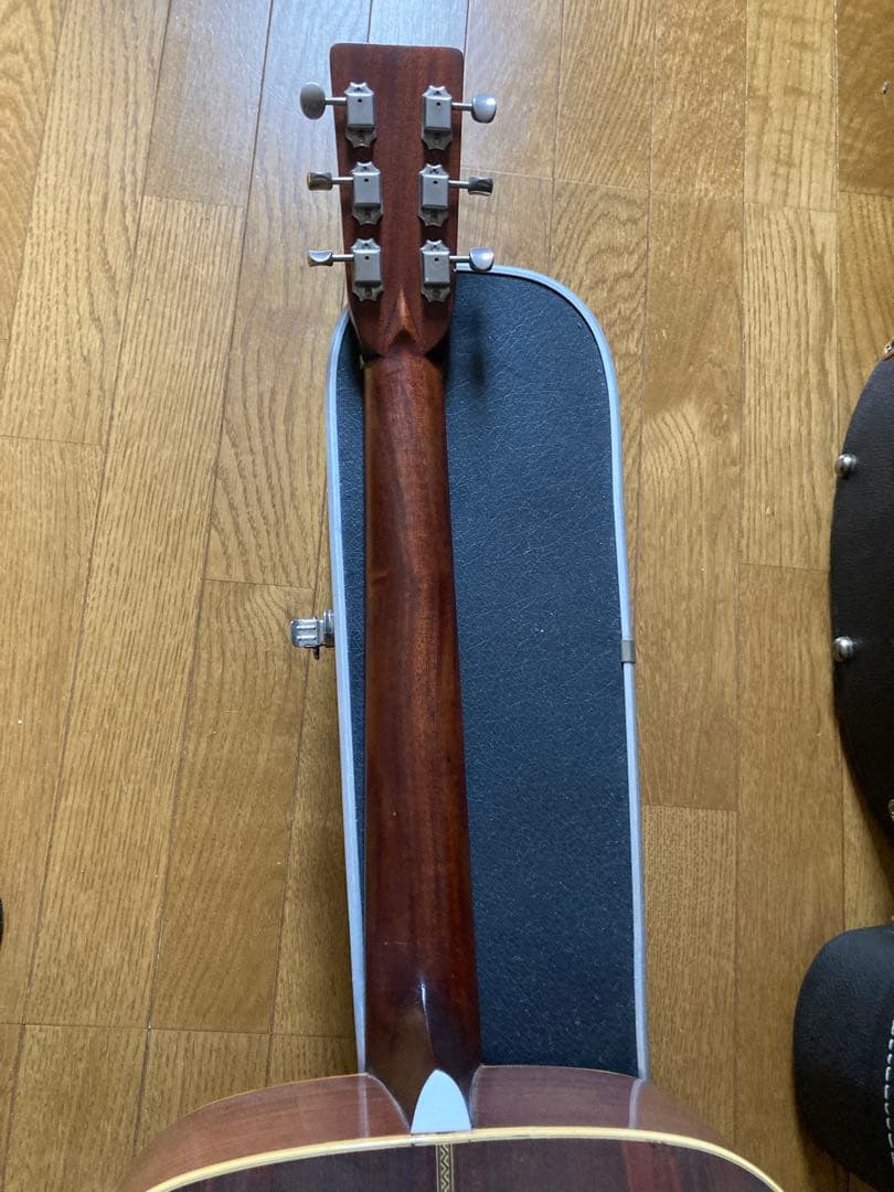 ギター cat's eyes CE800
