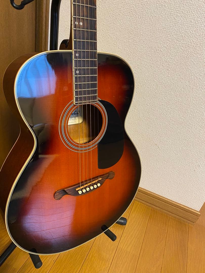 James JF-350WBアコースティックギター