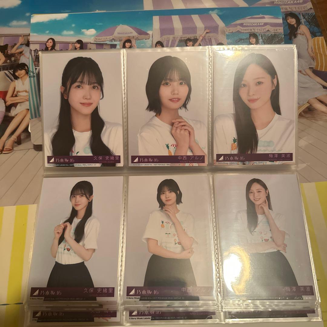 乃木坂46 Same numbers 封入生写真コンプ