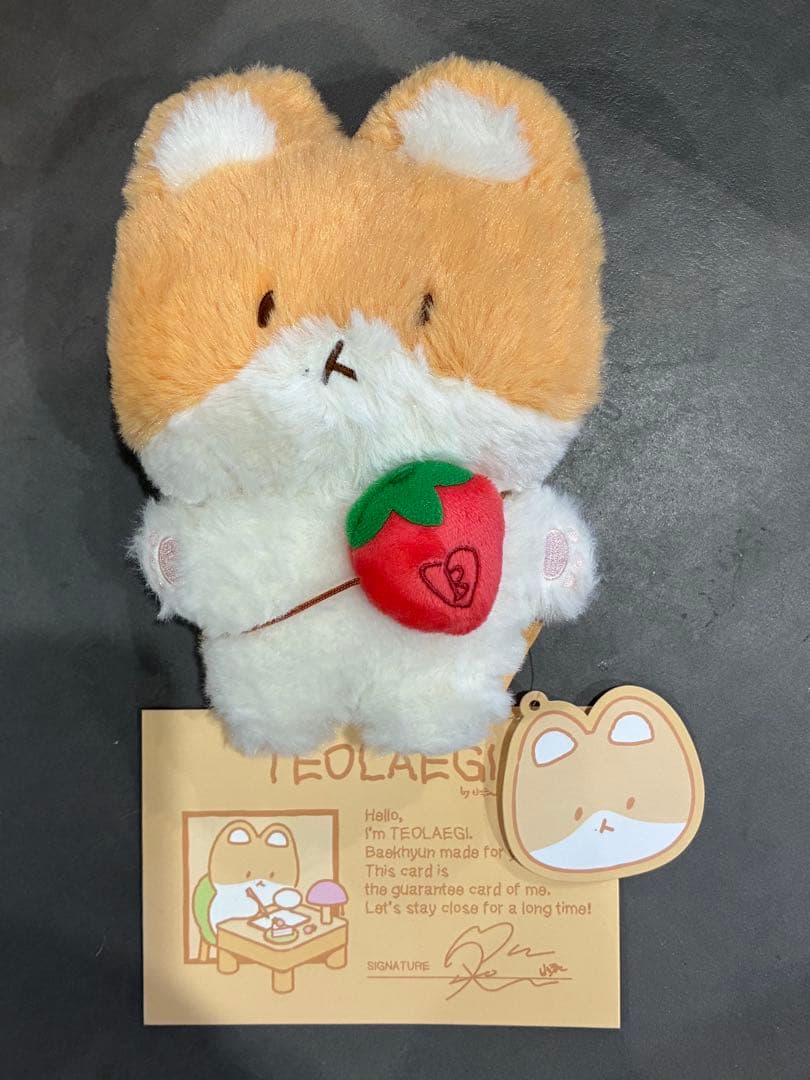ベッキョングッズ TEOLAEGI ストロベリータイム ぬいぐるみ