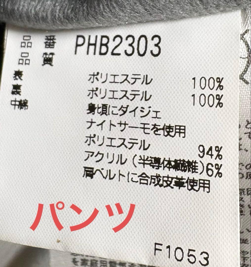 フェニックスphenixスキーウェア　スノボウェア　メンズ　XL