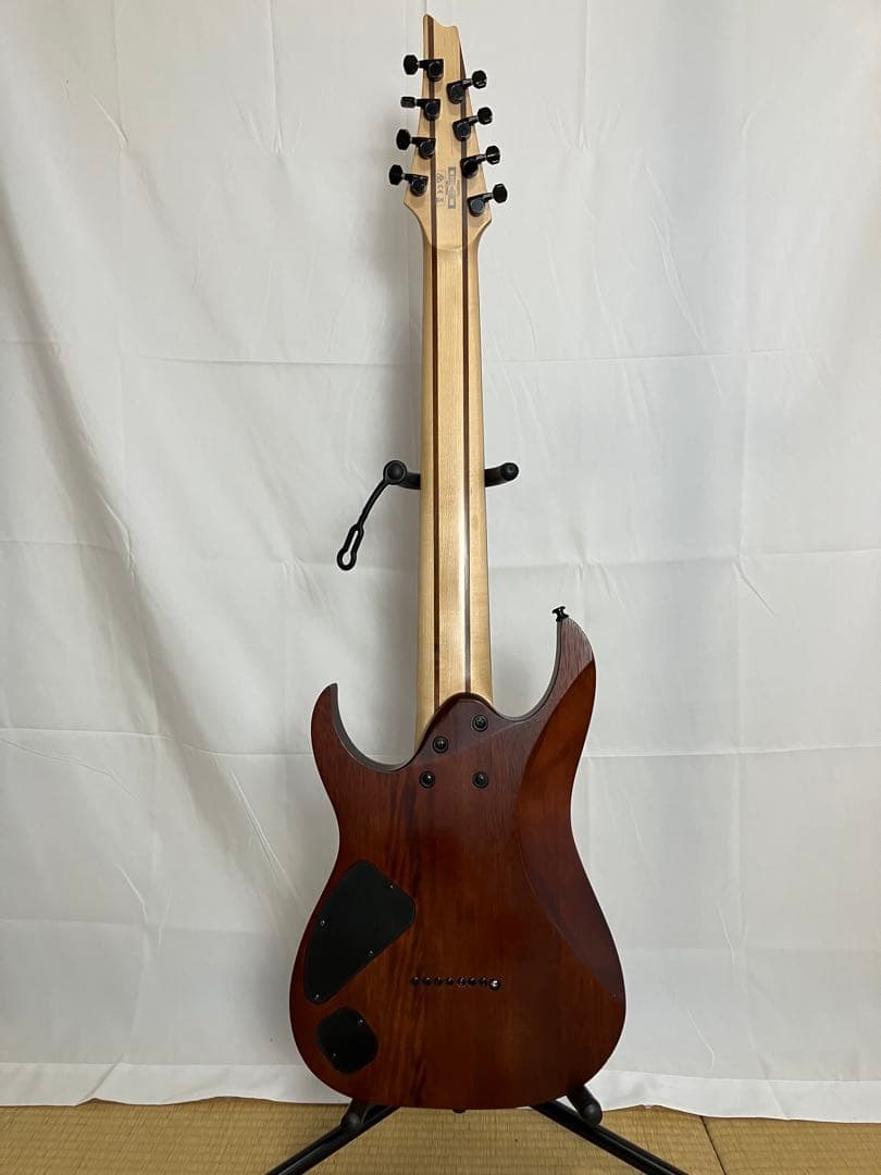 Ibanez RG8PB 8弦ギター