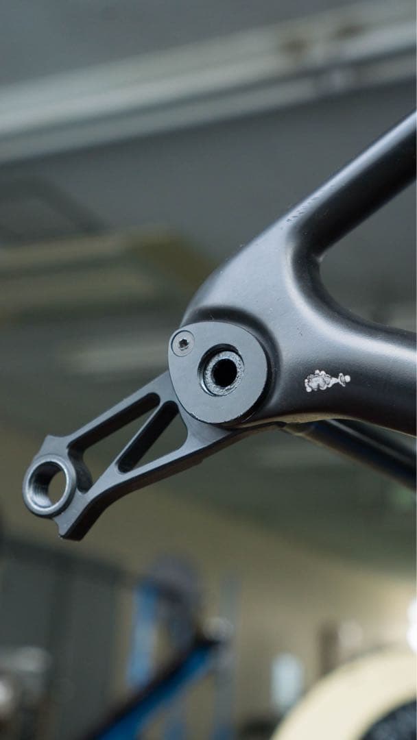 GIANT TCR ADVANCED 2 DISC SE 2021フレームセット