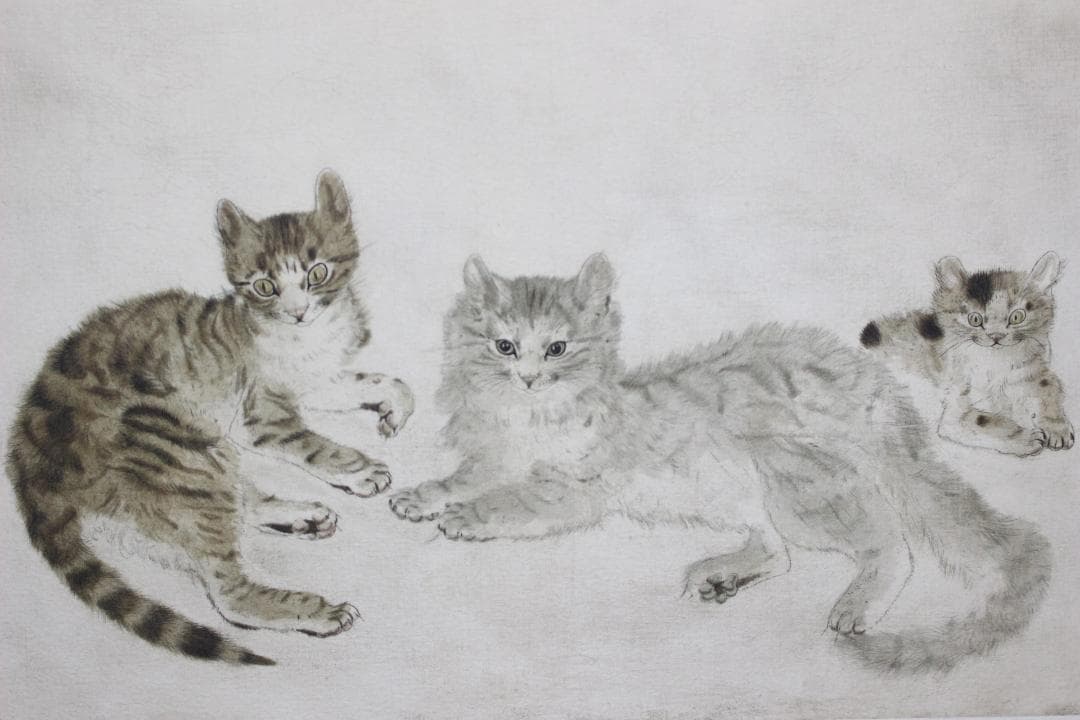 藤田嗣治 エスタンプリトグラフ「三匹の猫」 100部限定 13/100