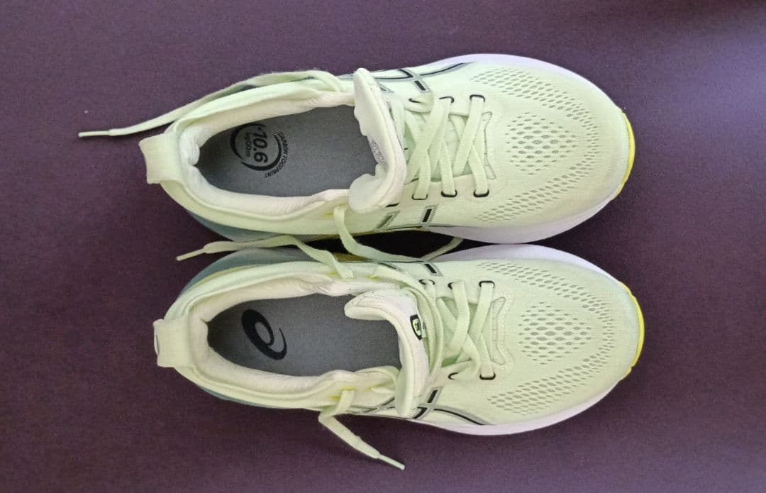 アシックス asics ゲルカヤノ 31 GEL-KAYANO 31 25cm