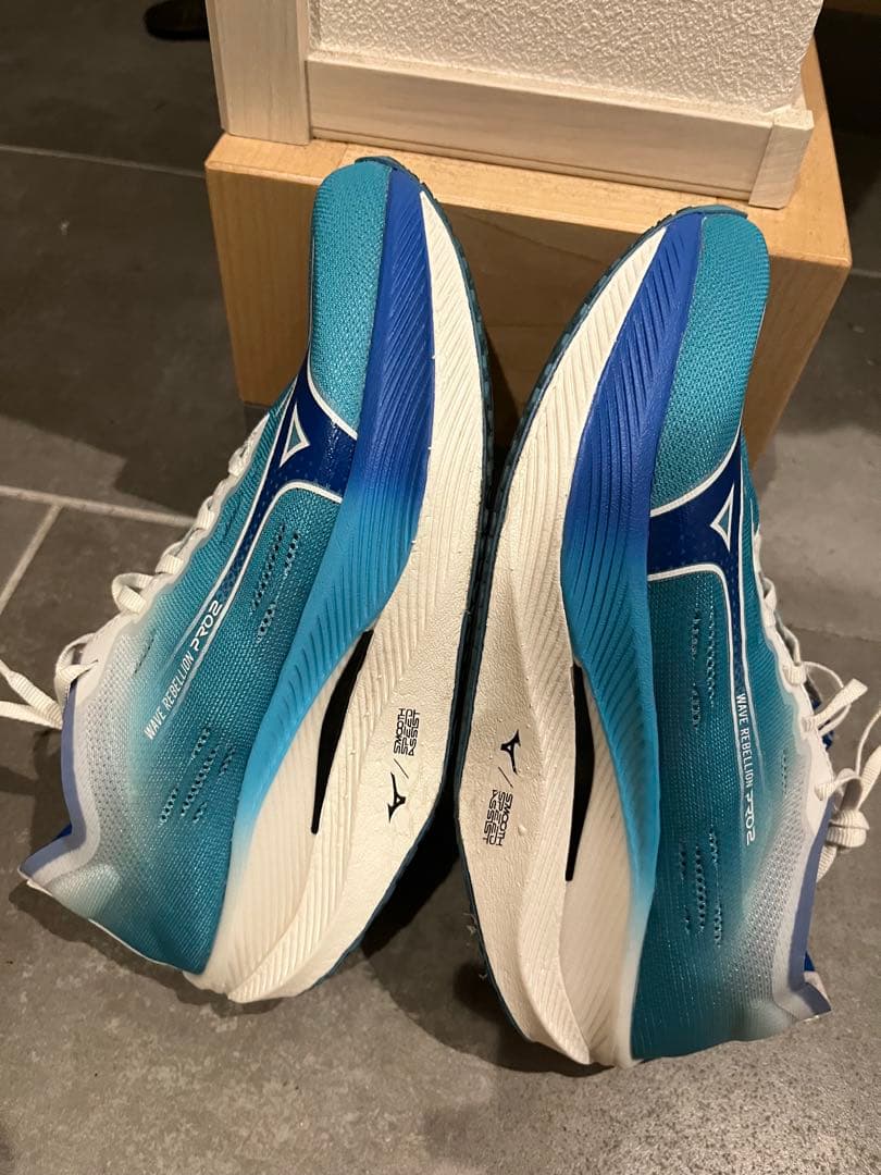 Mizuno ウェーブリベリオンプロ2