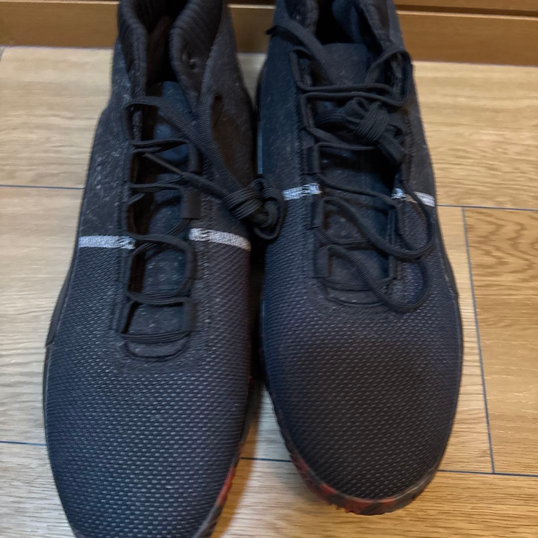 adidasDame 5 デイム5 31cm 新品未使用 バッシュ 大きいサイズ