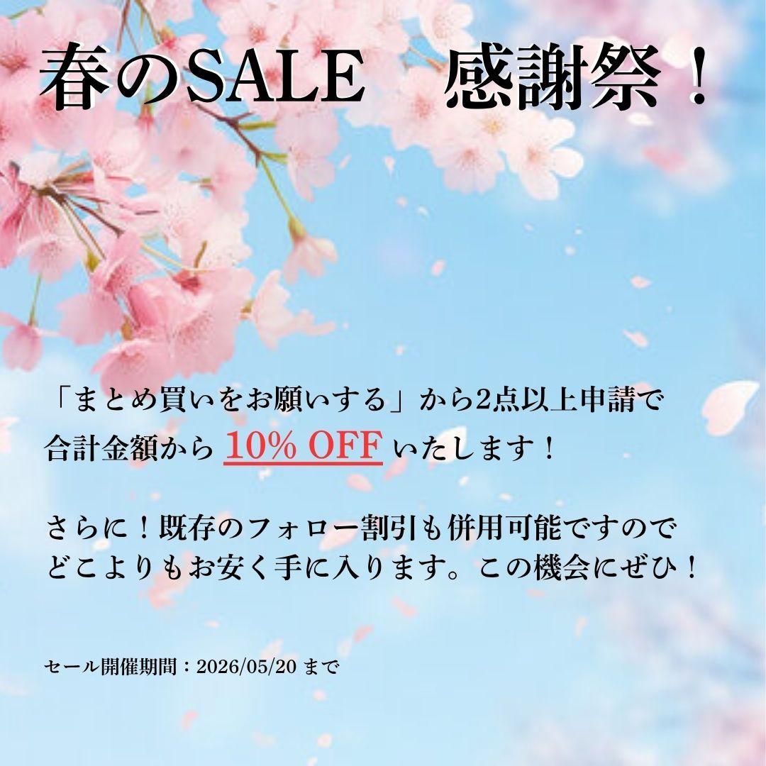 【超希少・廃盤】Rugby Ralph Lauren　ラガーシャツ　仕様　M
