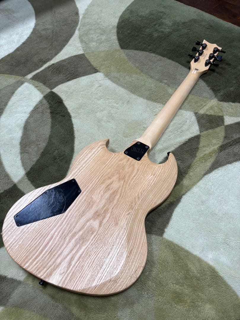 EDWARDS E-VIPER-1H -Satin Natural- 【改造】