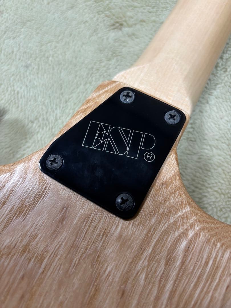EDWARDS E-VIPER-1H -Satin Natural- 【改造】