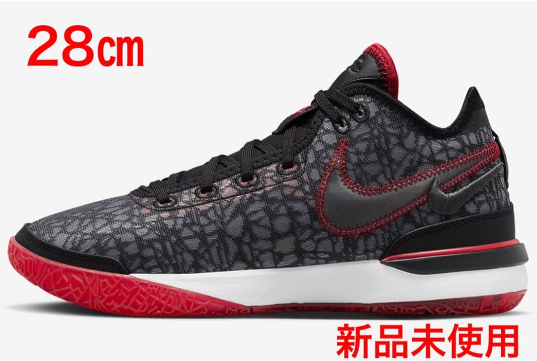 シューズ(男性用) NIKE LeBron NXXT Gen EP 28cm