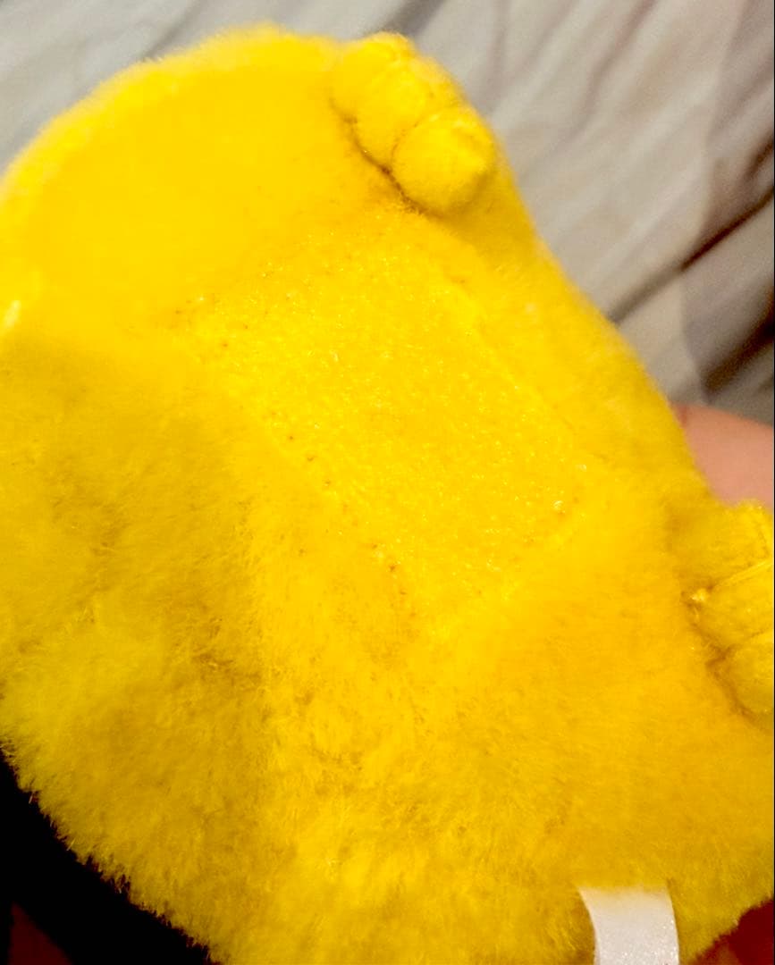 ポケモン 初期グッズ ぬいぐるみ付きリュック ピカチュウ