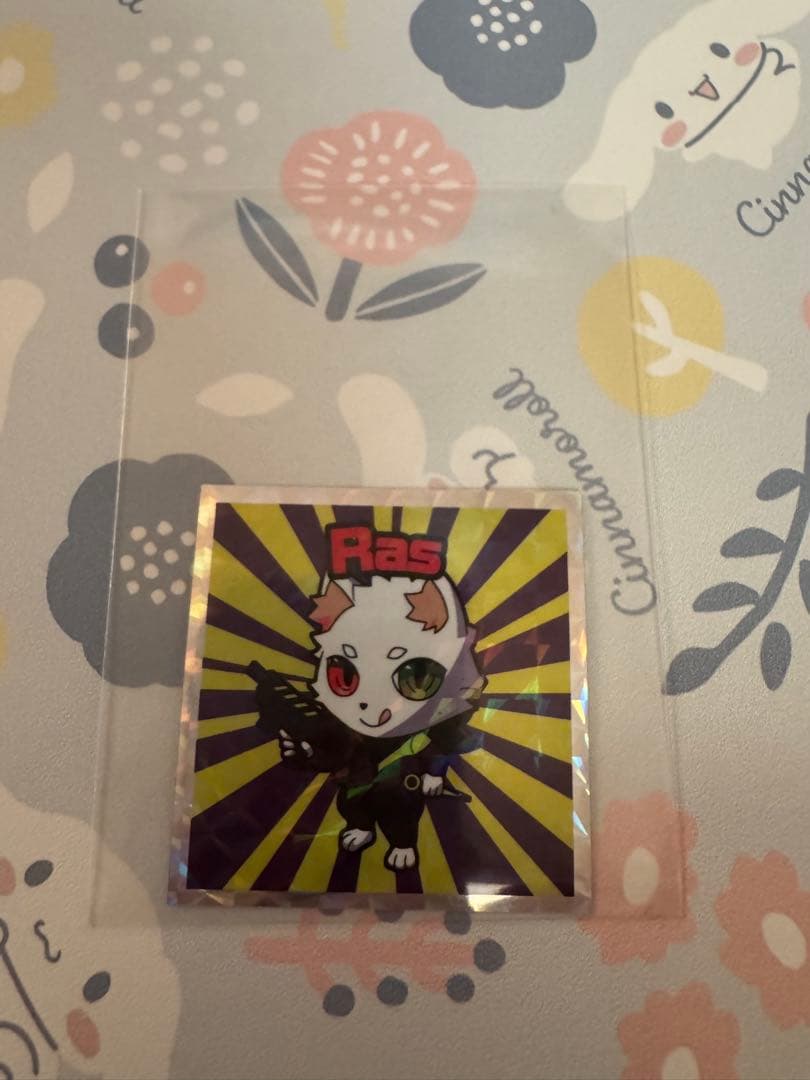 Crazy Raccoon Ras まとめ売り