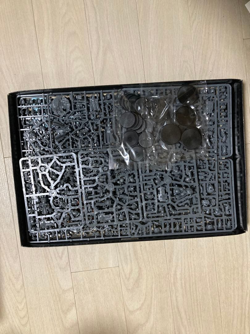 ウォーハンマー space marines scions of macragge
