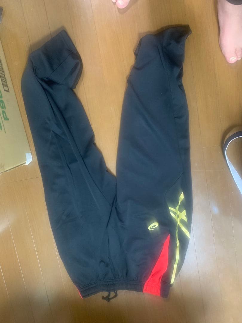 バレーボール日本代表ジャージ上下