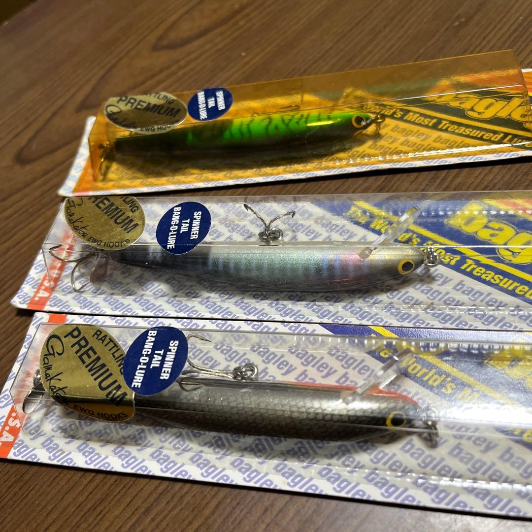 バグリールアー