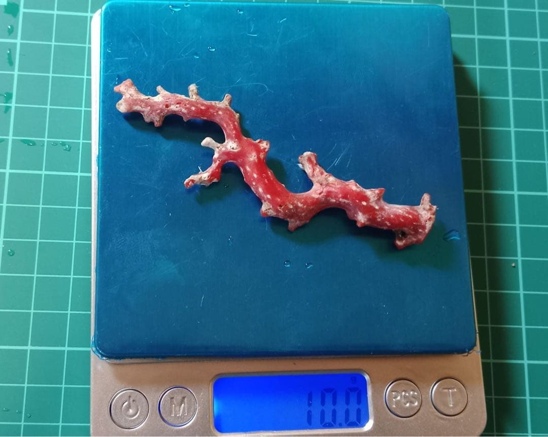 赤色サンゴオブジェ